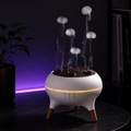 Jellyfish Air Humidifier 250ml – LED Night Light & Essential Oil Diffuser with Remote